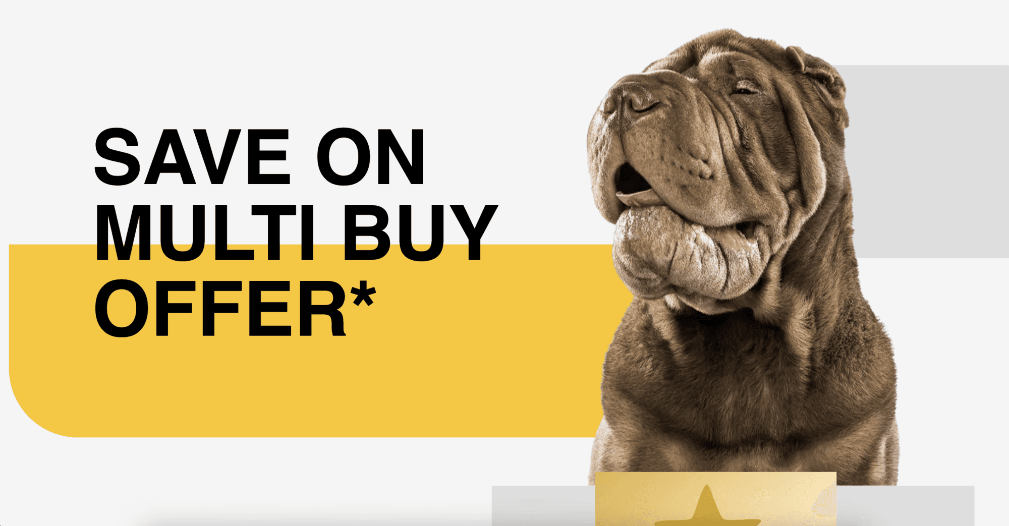 Создание сайта для розничного зоомагазина в Великобритании